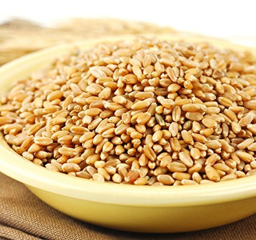 Hard White Spring Wheat Berries, 25 Lb. Bag Y2046