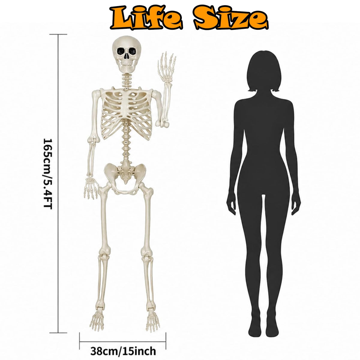 Life Size Posable Skeleton Decorations R722515