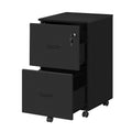 File Cabinet N6330