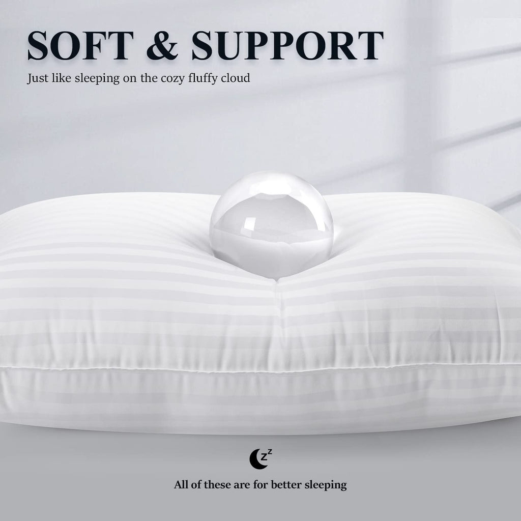 Queen Size Microfiber Bed Pillows Set of 2 T290923