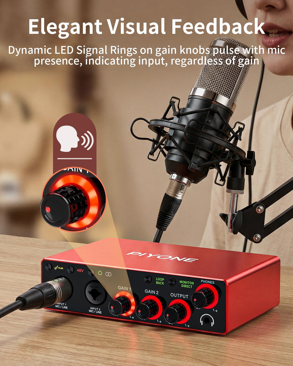 2X2 24-bit/192kHz Audio Interface with XLR/TRS Combo Input R227