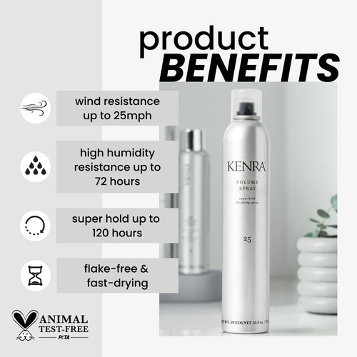 10 oz 2-Pack Hairspray Z703