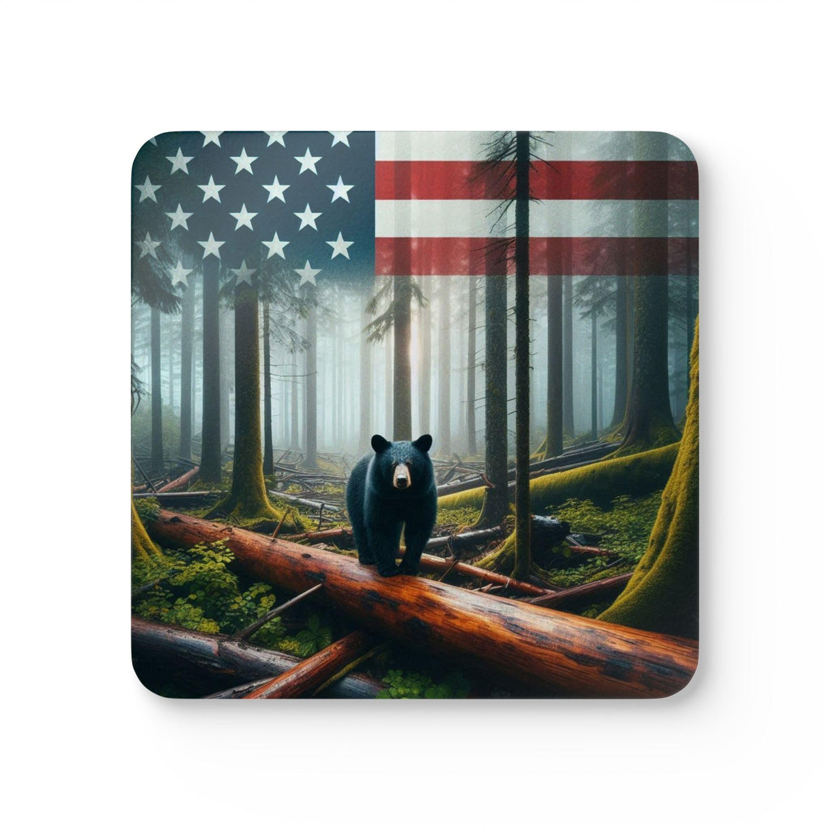 Set of 4 Coasters B711