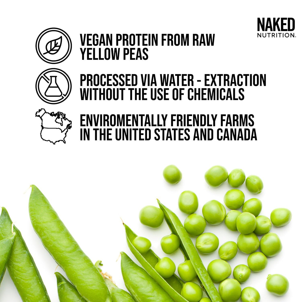 Pea Protein Powder 2LB and Powdered Peanut Butter 1.5LB Vegan Non-GMO Gluten Free Z99955