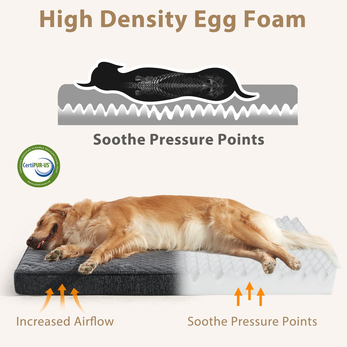 XL Waterproof Orthopedic Dog Bed K672
