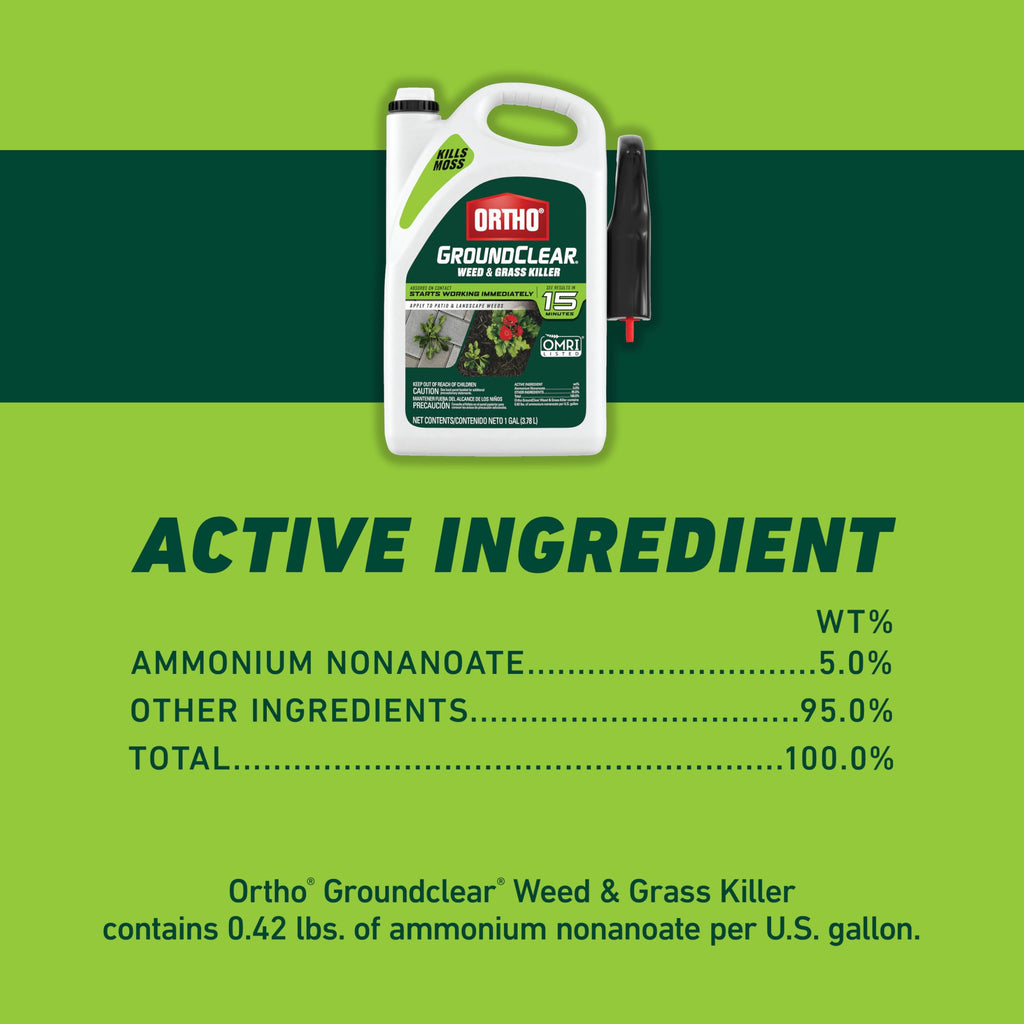 Weed & Grass Killer with Comfort Wand, 1 gal. H67826