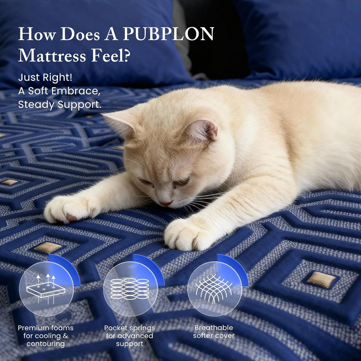 Queen 14 Inch Hybrid Gel Memory Foam Mattress in a Box W73510