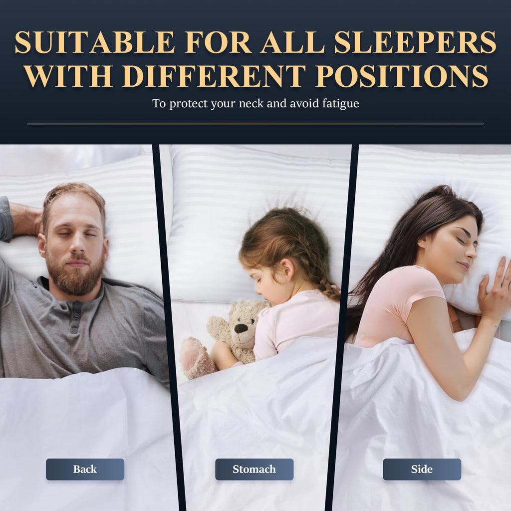 Queen Size Microfiber Bed Pillows Set of 2 T290923