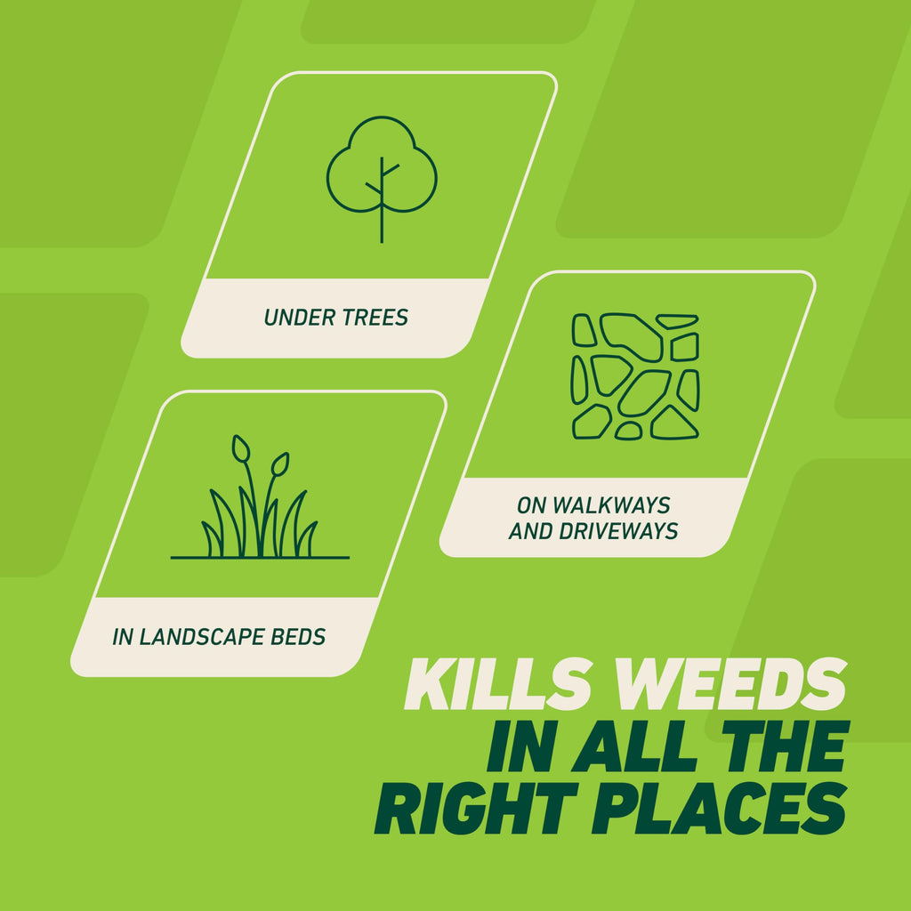 Weed & Grass Killer with Comfort Wand, 1 gal. H67826