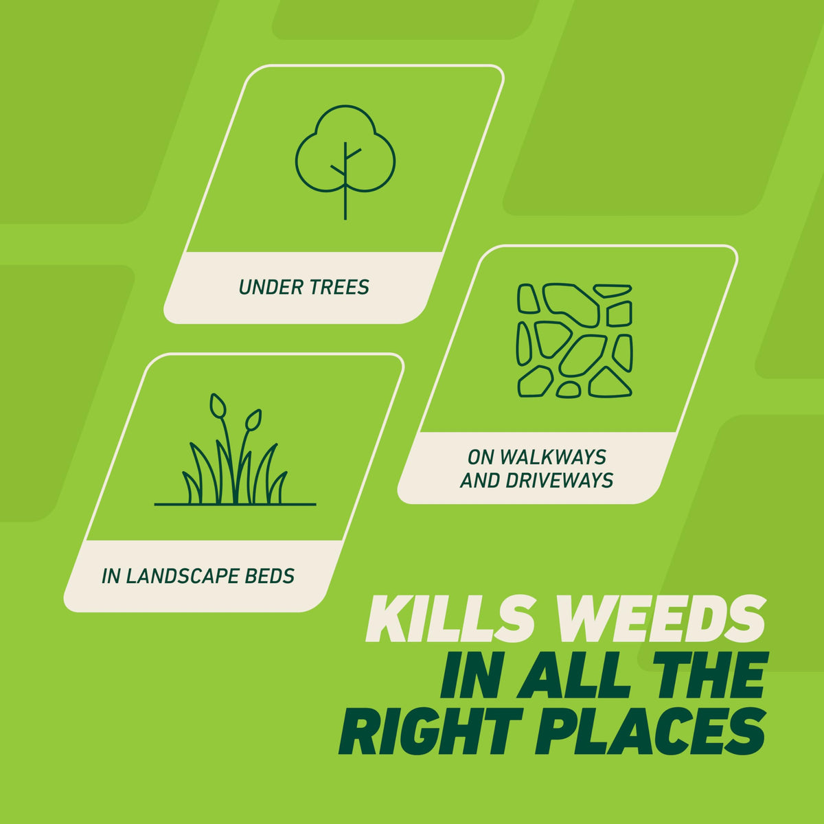 Weed & Grass Killer with Comfort Wand, 1 gal. H67826