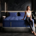 Queen 14 Inch Hybrid Gel Memory Foam Mattress in a Box W73510