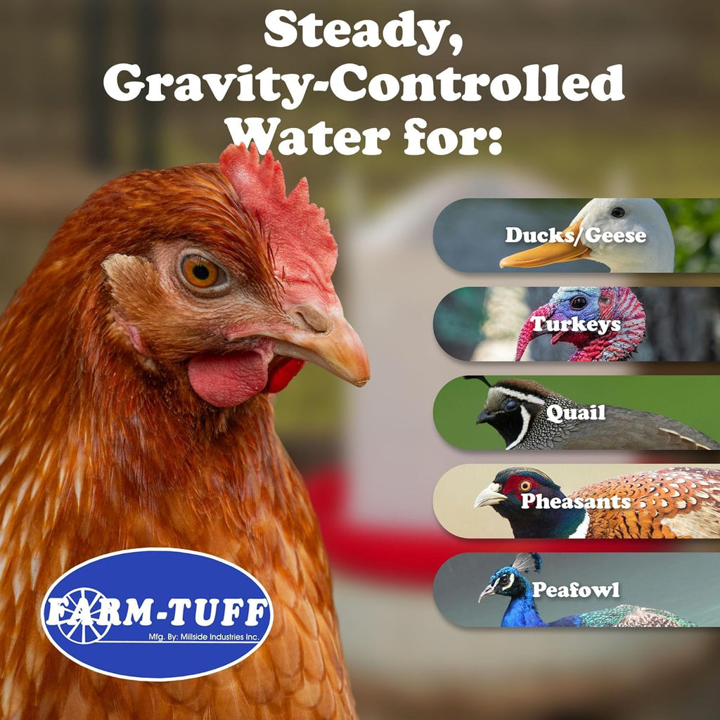 3 Gallon Plastic Poultry Waterer T9456