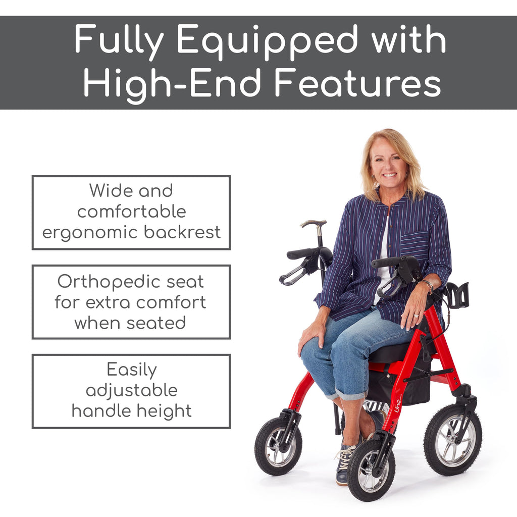 All Terrain Rolling Walker with Pneumatic Tires R3786