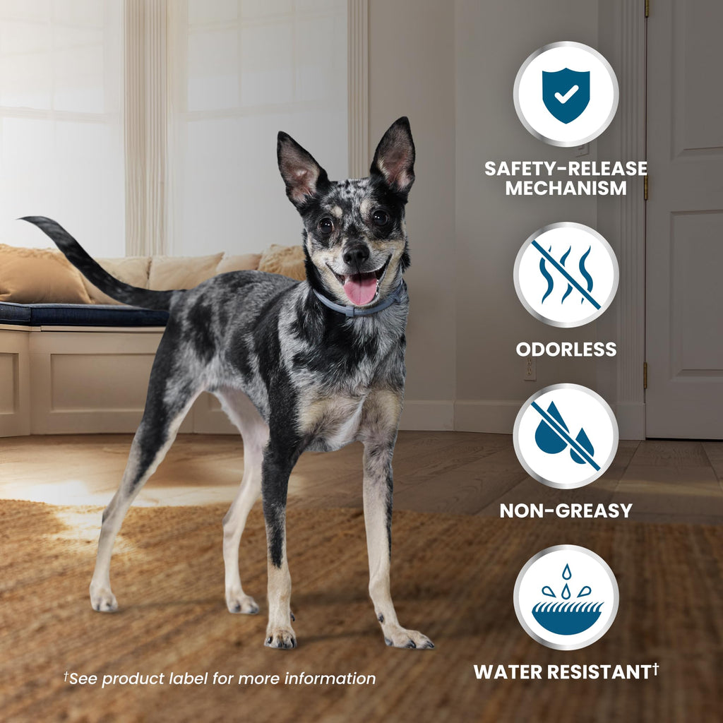 Flea & Tick Treatment & Prevention Collar for Dogs Under 18 lbs Z222