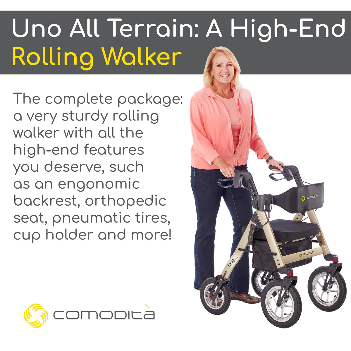 All Terrain Rolling Walker with Pneumatic Tires R3786