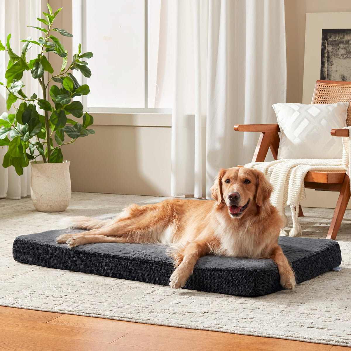 XL Waterproof Orthopedic Dog Bed K672