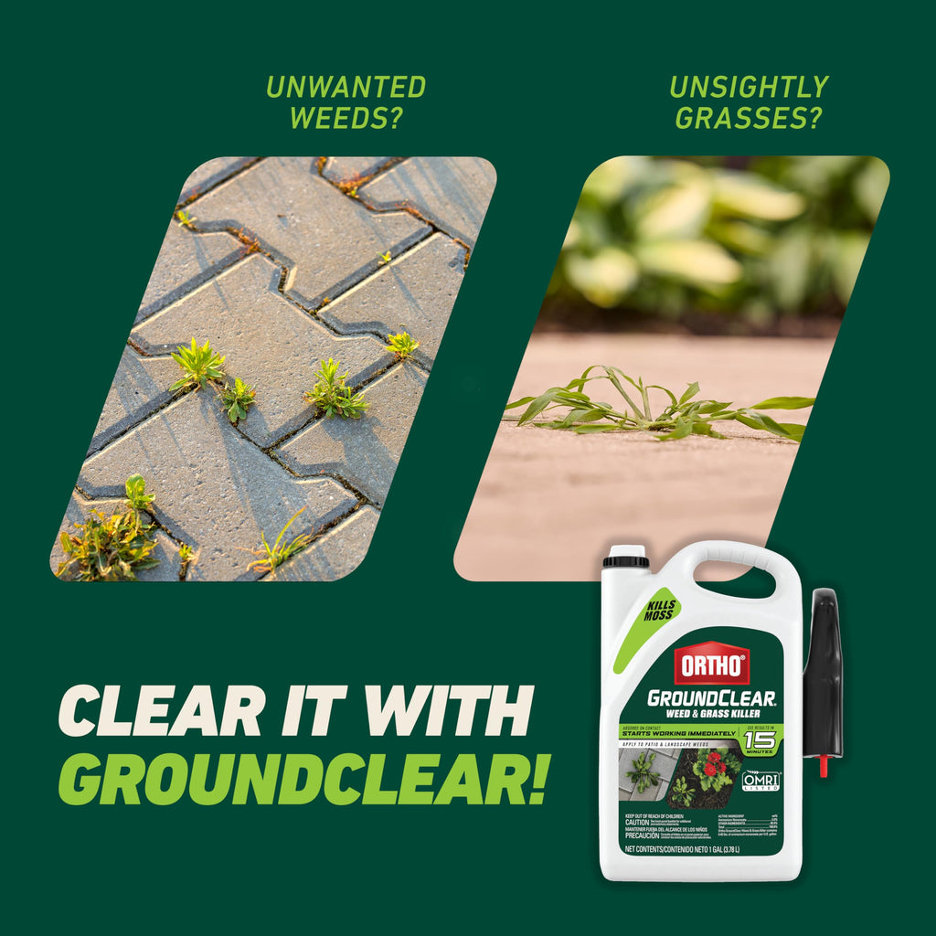 Weed & Grass Killer with Comfort Wand, 1 gal. H67826