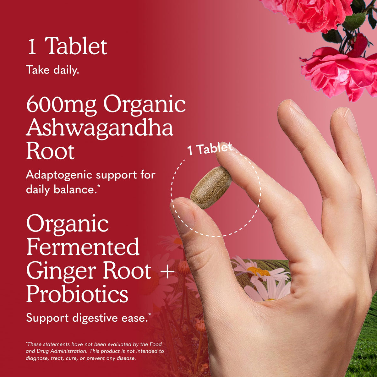 Organic Ashwagandha with Probiotics & Ginger C3842