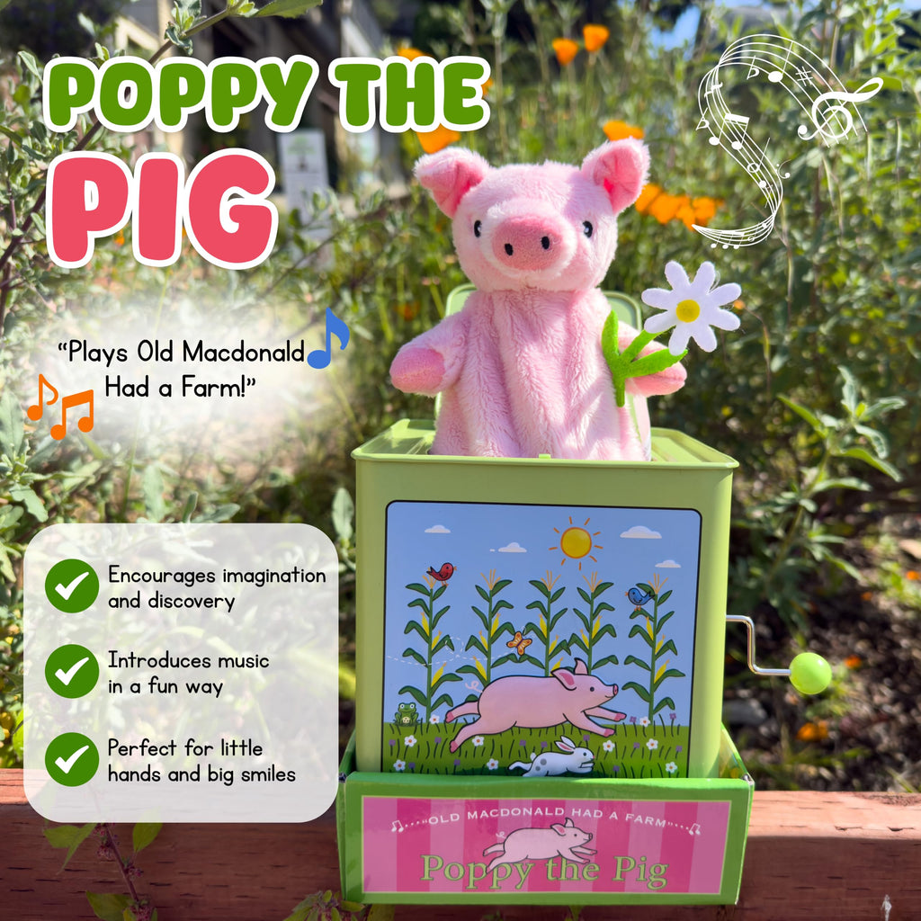 Pig Jack in the Box Q84850