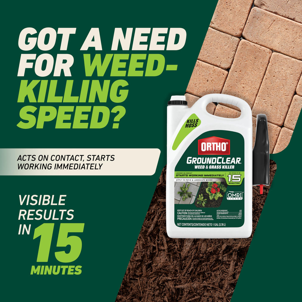 Weed & Grass Killer with Comfort Wand, 1 gal. H67826