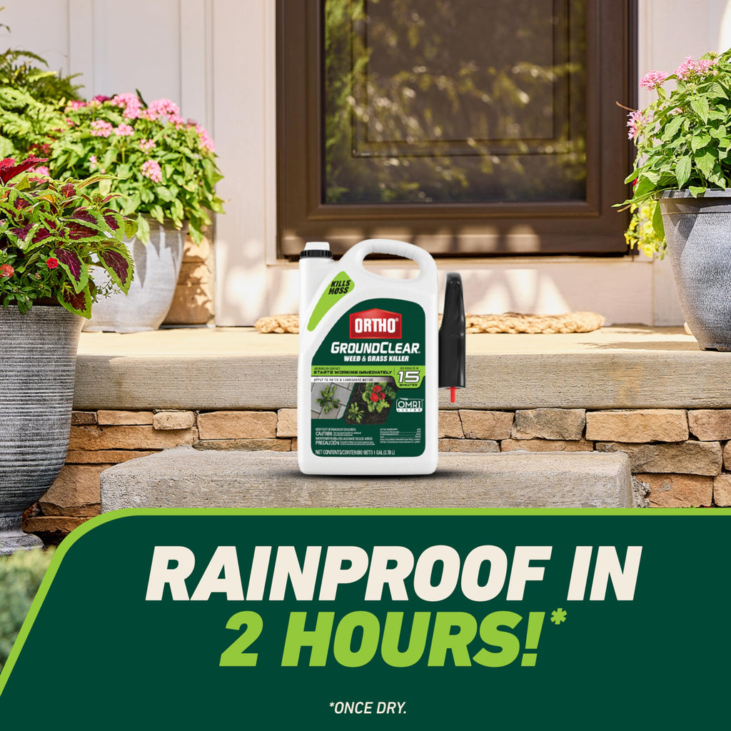 Weed & Grass Killer with Comfort Wand, 1 gal. H67826